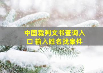 中国裁判文书查询入口 输入姓名找案件